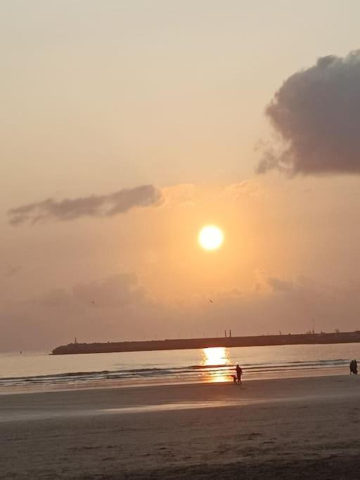 El Baze Essaouira